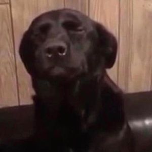 Meet your Posher, Nathan